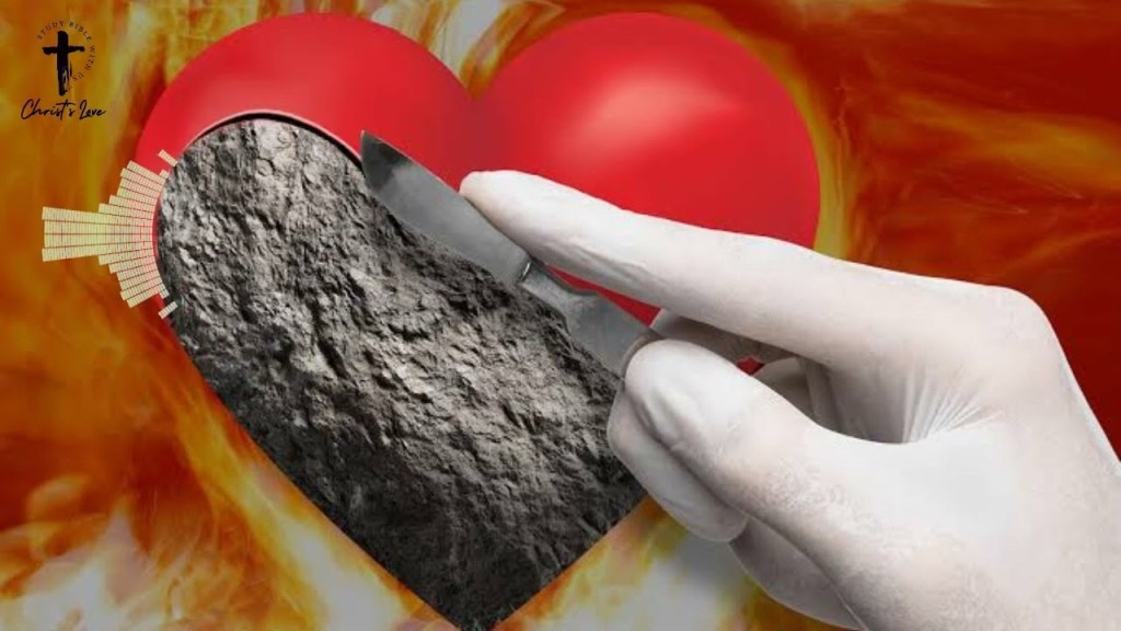 You wanted a circumcised penis, you also get a circumcised&nbsp;heart.