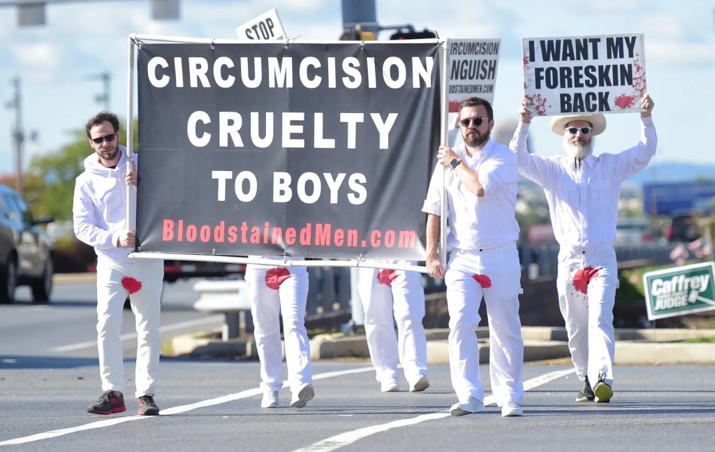 Controlled Opposition: Why Most Intactivism Has&nbsp;Failed